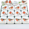Jo Stockdale Robin Tins with Peppermint Creams 80g x 24